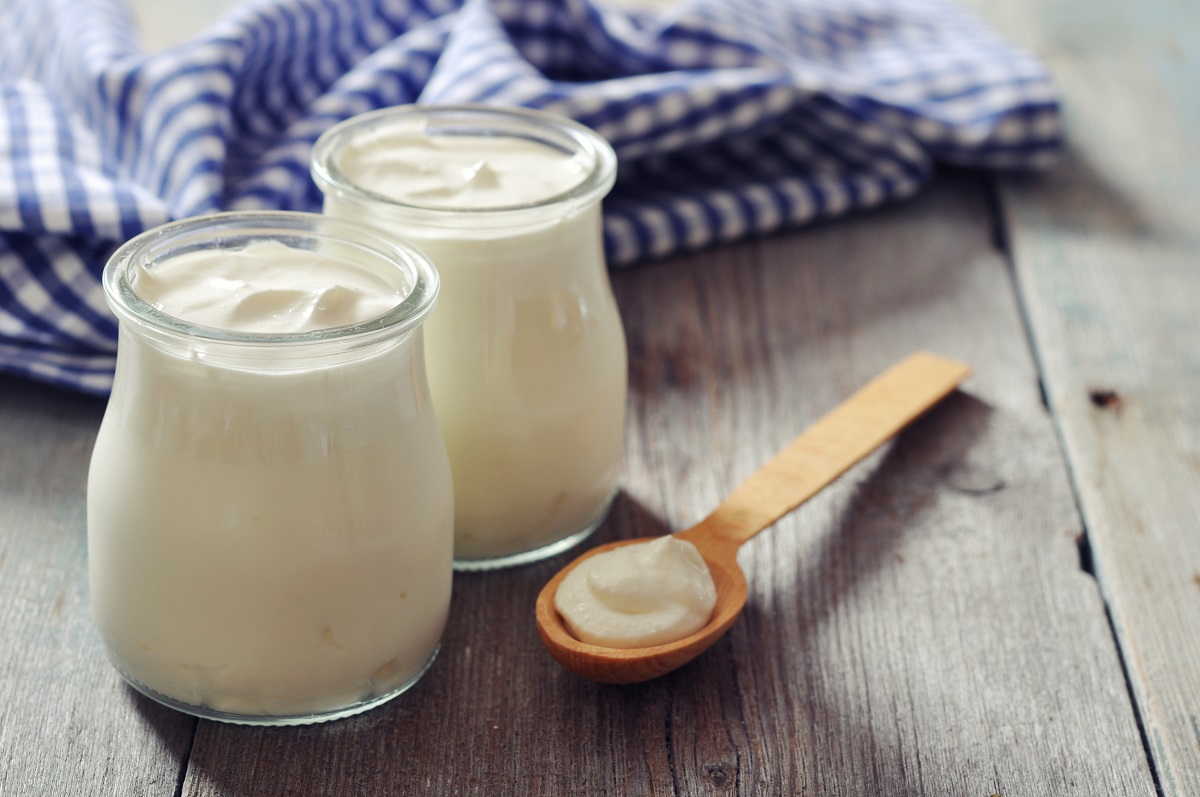 yogurt greco nella dieta a zona