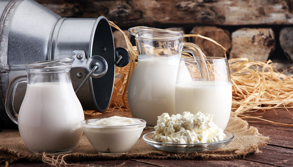 Ecco con quale latte è fatto lo yogurt greco