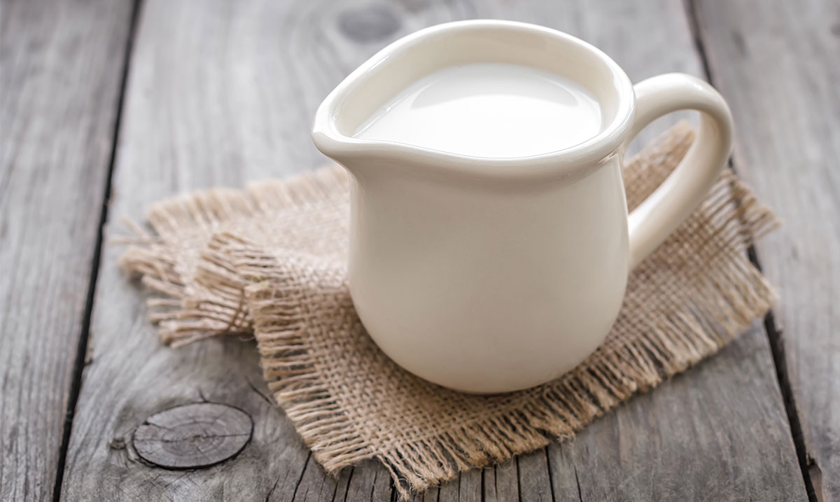 latte di pecora