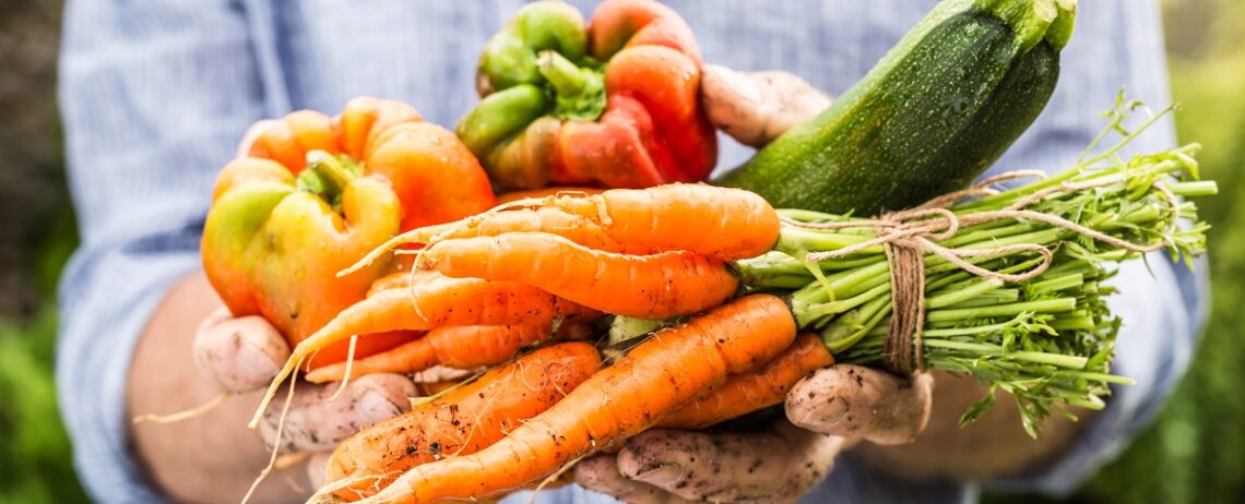 I migliori cibi per combattere il caldo