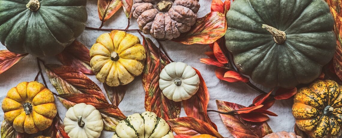 Sapevi che la zucca è ricca di proprietà?