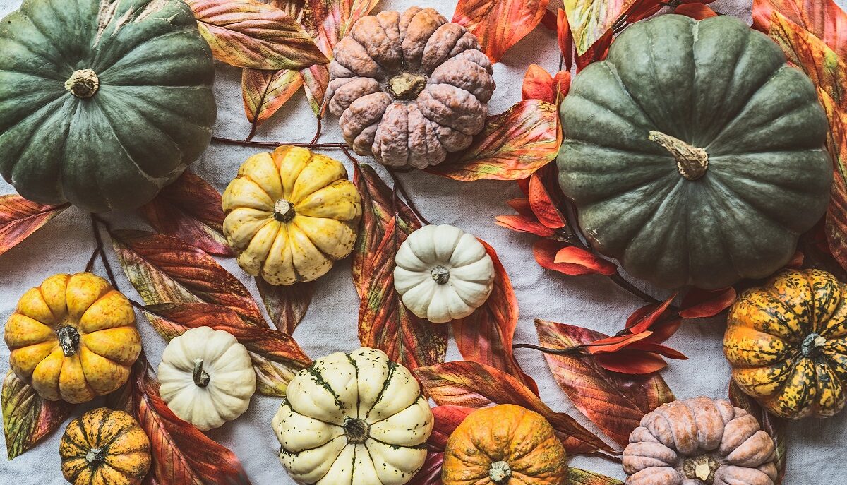 Sapevi che la zucca è ricca di proprietà?